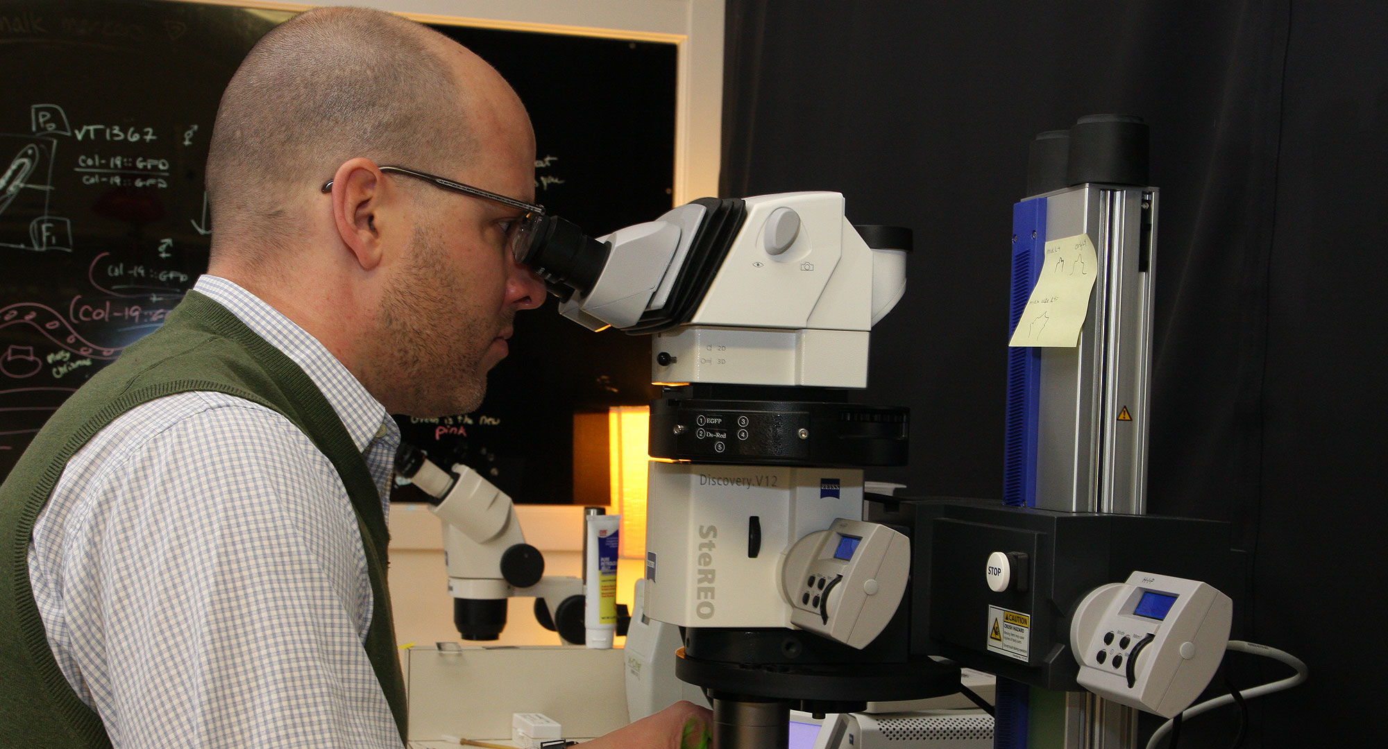 photo of Chris Hammel