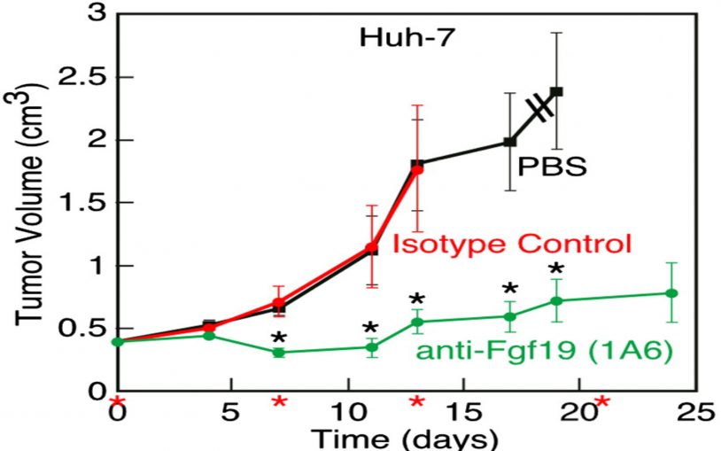 liver tumor volume graph