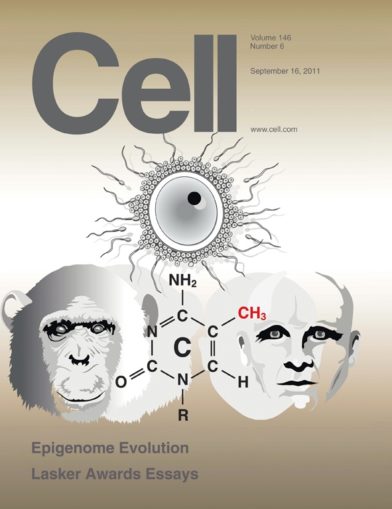 Cell Greg Hannon methylation Sept 2011