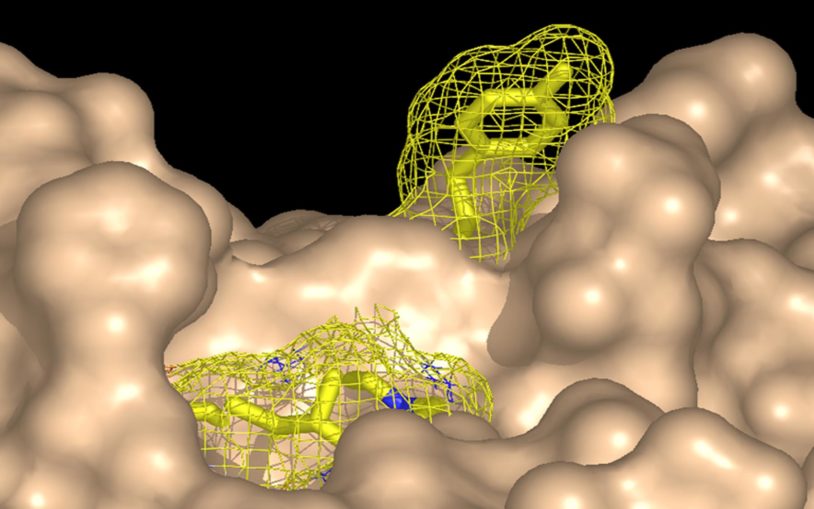 Nicholas Tonks Chasm of Doom active site