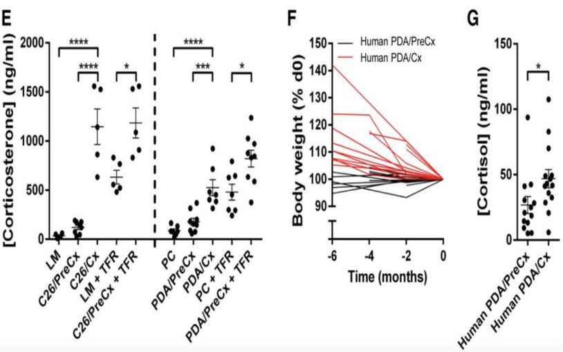 food restriction metabolic response