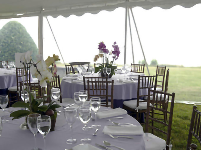 2010 womens partnership luncheon