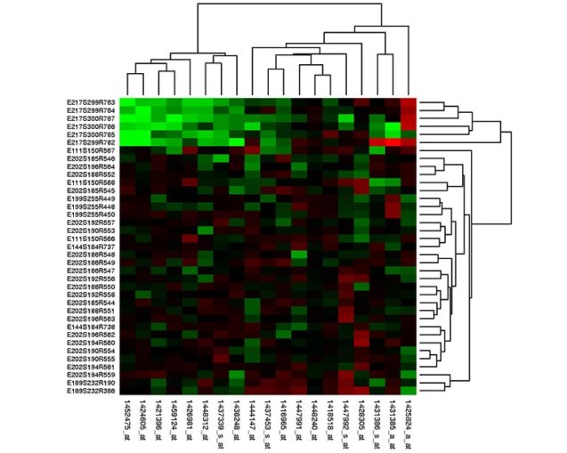 graphic image of a cell heat map