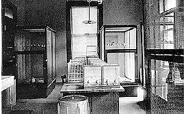 photo of insect bird room library