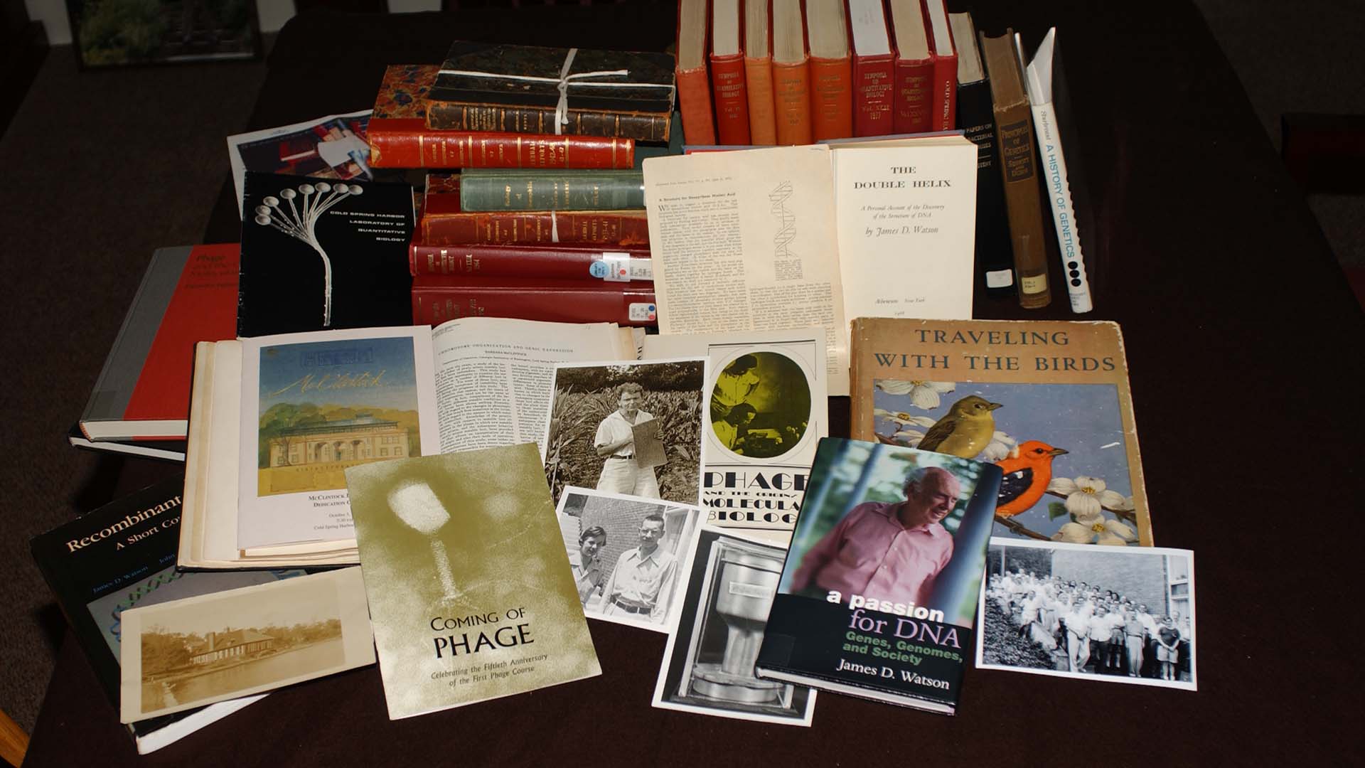 photo of book pile from Archives