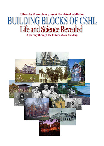 image of Building Blocks of CSHL