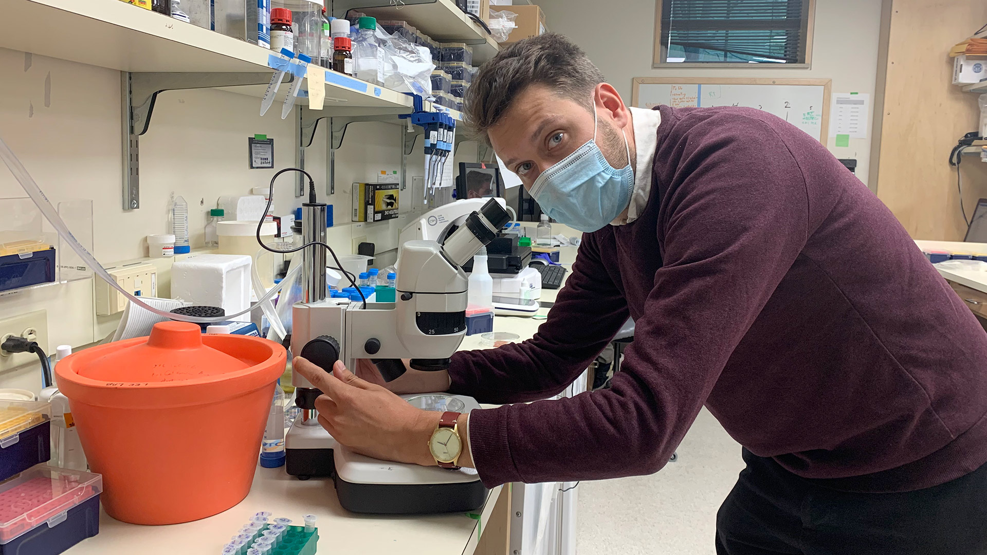 photo of Daniel Fuerth