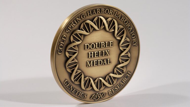 image of the Double Helixs medal