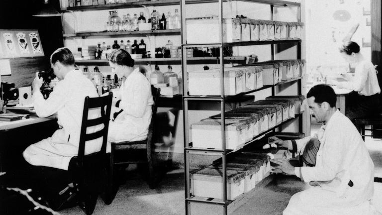 historic photo of workers in a lab