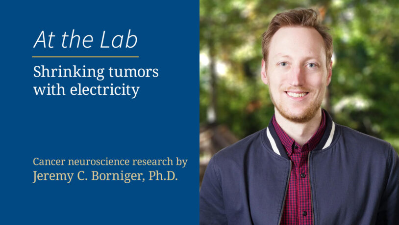 Image of At the Lab Shrinking tumors with electricity
