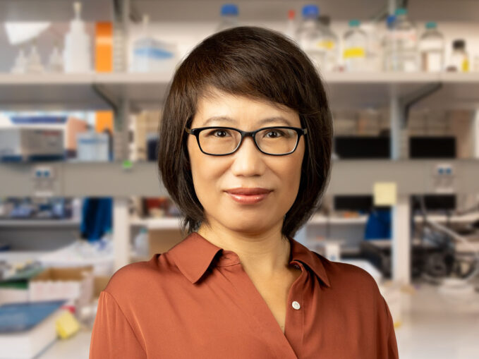 image of CSHL Adunct Assistant Professor Zhen Zhao