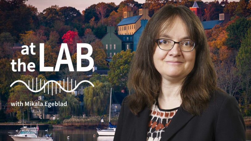 image of Cold Spring Harbor campus from across the harbor with At the Lab podcast logo and portrait of Mikala Egeblad