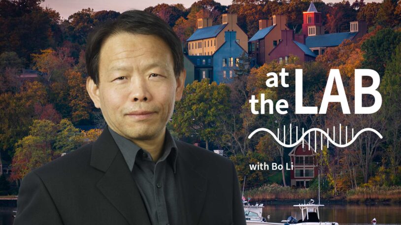 image of Cold Spring Harbor campus from across the harbor with At the Lab podcast logo and portrait of Bo Li