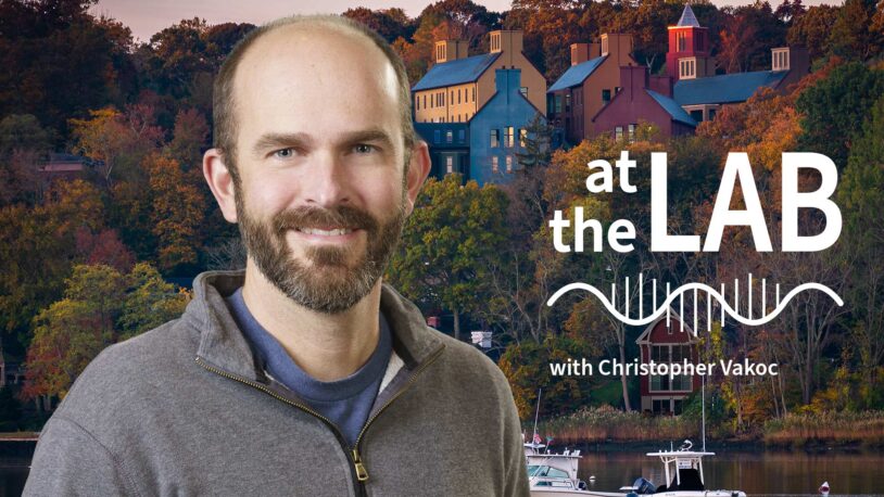 image of Cold Spring Harbor campus from across the harbor with At the Lab podcast logo and portrait of Chris Vakoc