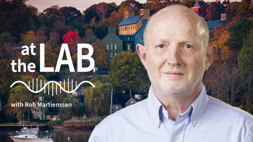image of Cold Spring Harbor campus from across the harbor with At the Lab podcast logo and portrait of Rob Martienssen