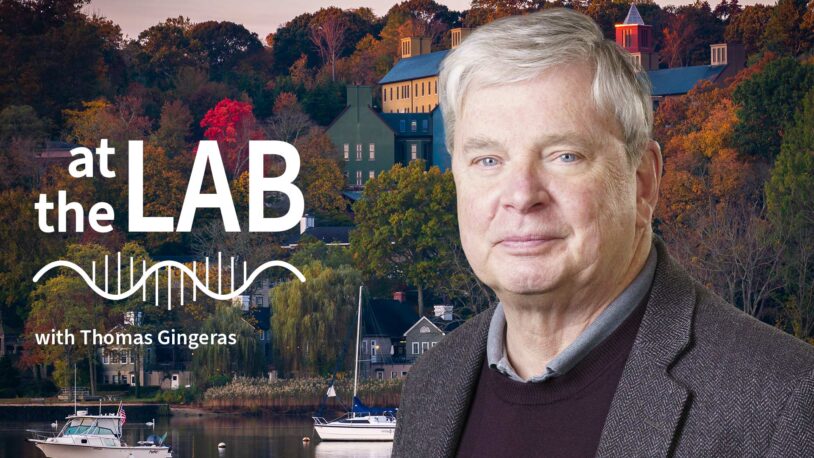 image of Cold Spring Harbor campus from across the harbor with At the Lab podcast logo and portrait of Thomas Gingeras