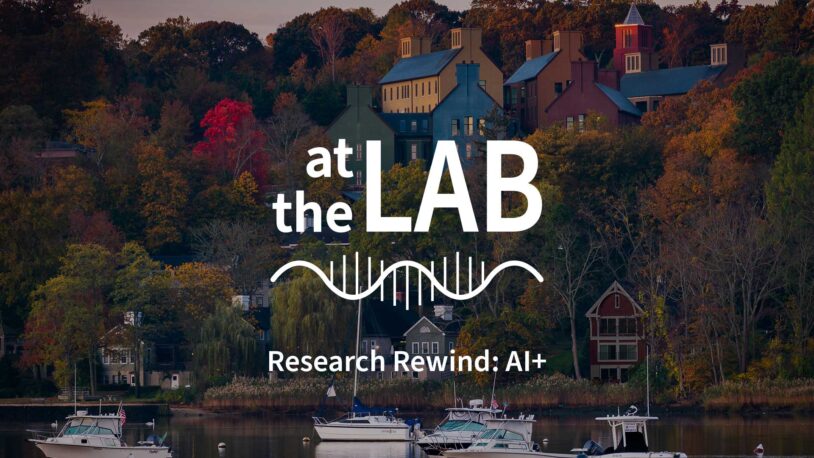 image of video slide for At the Lab podcast on AI