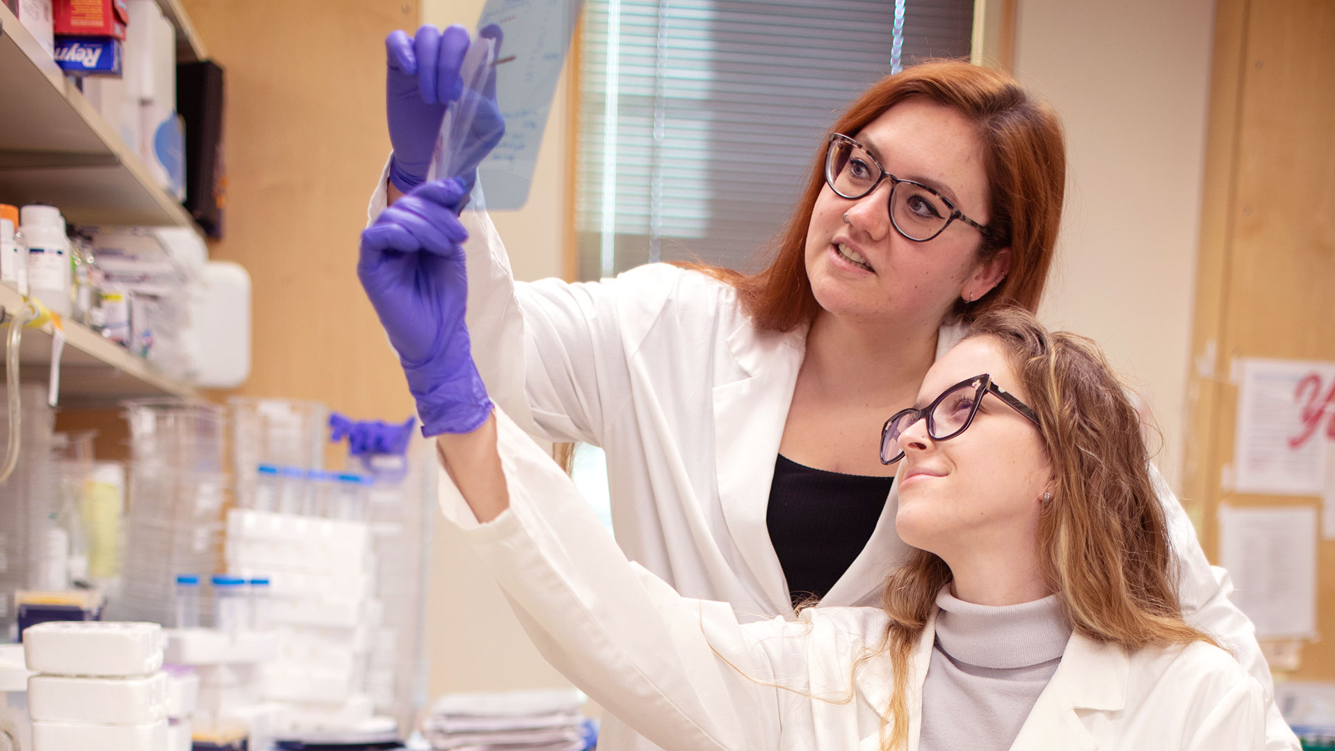 photo of scientists in the Vakoc lab