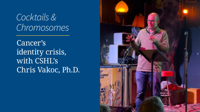 image of video slide for Vakoc video