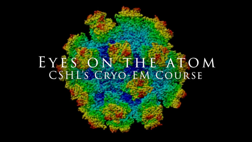 image of video slide for cryo-em video