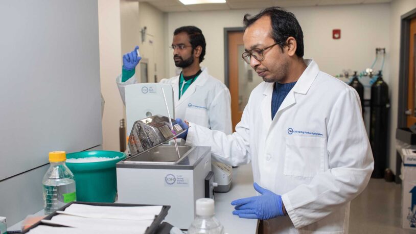 photo of researchers in the Zhang lab
