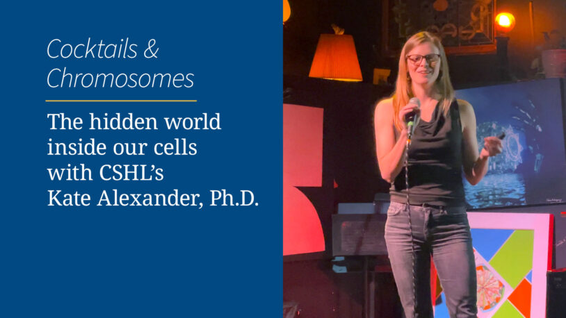 image of video slide for Kate Alexander video