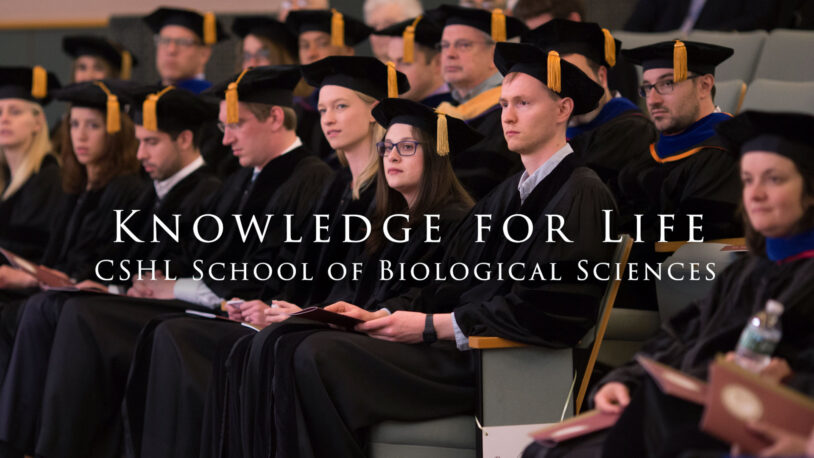 image of video slide for SBS video