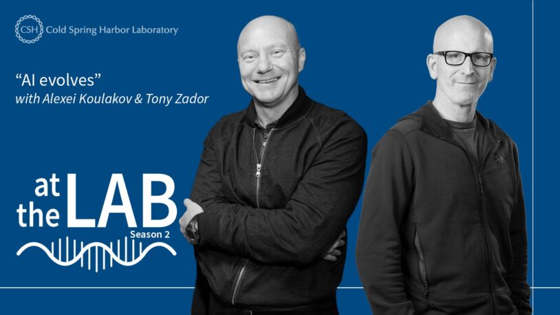 image of the At the Lab podcast logo with black and white portrait of Alexei Koulakov and Tony Zador on a blue background