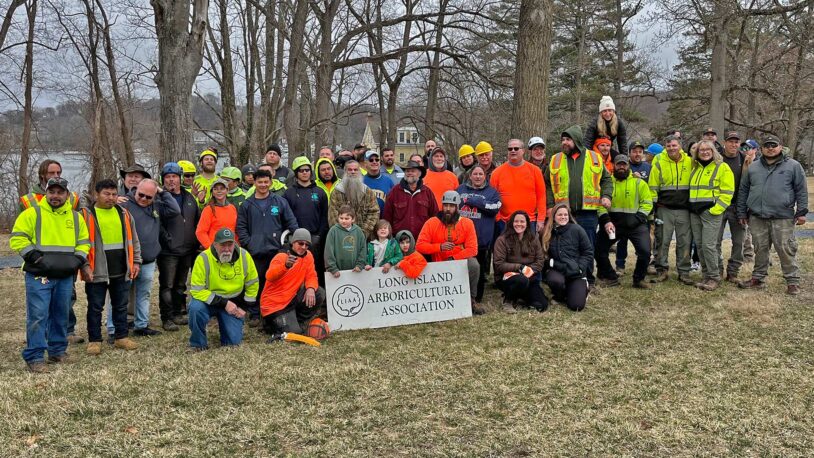 image of CSHL Facilities employees with volunteers from the LI Arborcultural Association