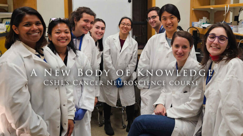 image from A new body of knowledge video