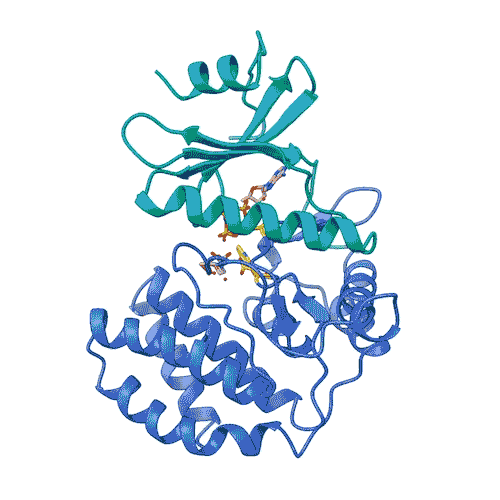 Animated gif of an FN3K 3D structure