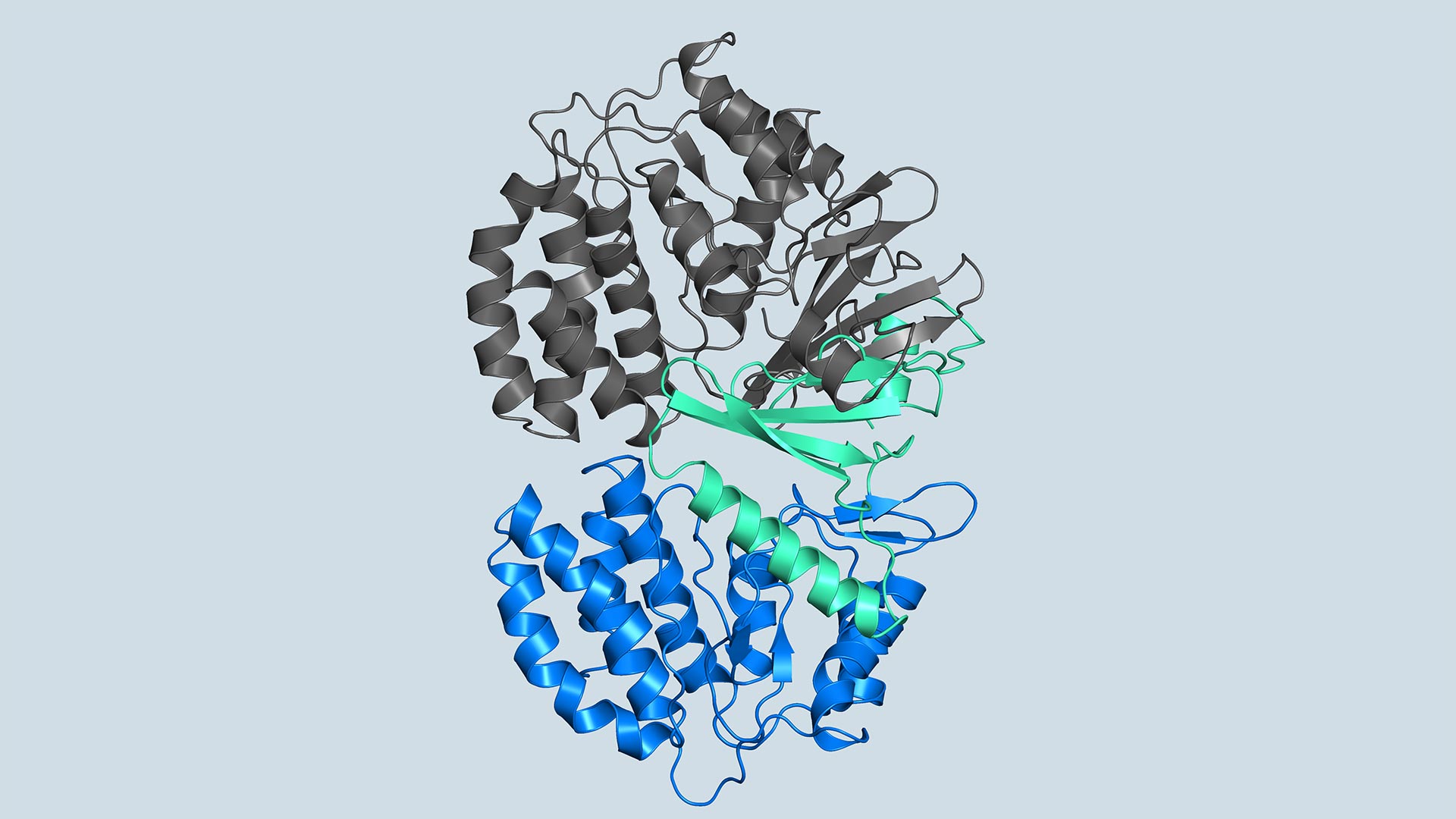 Image of an FN3K structure