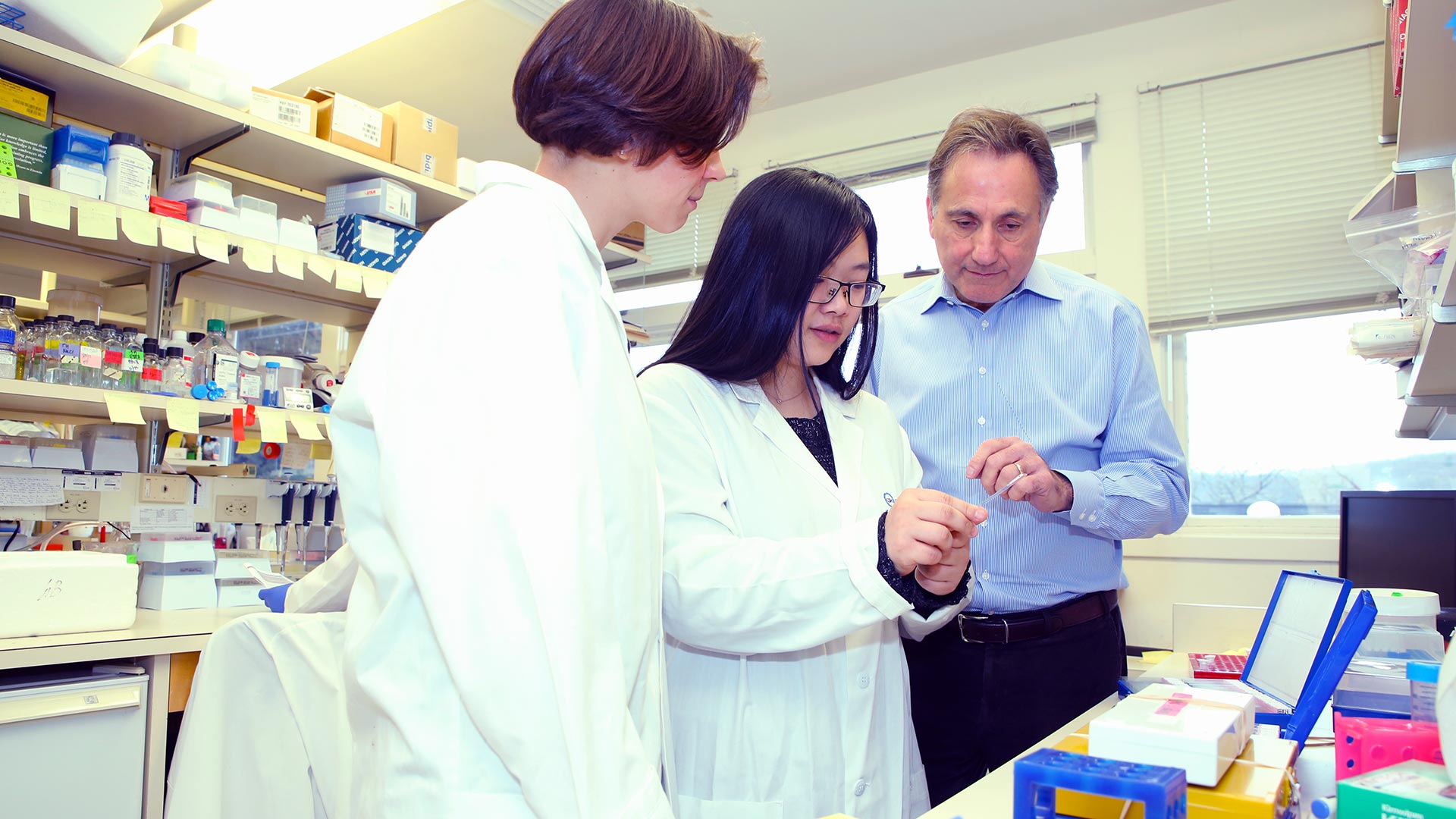 Image of Wenbo Xu and David Spector in the Spector lab