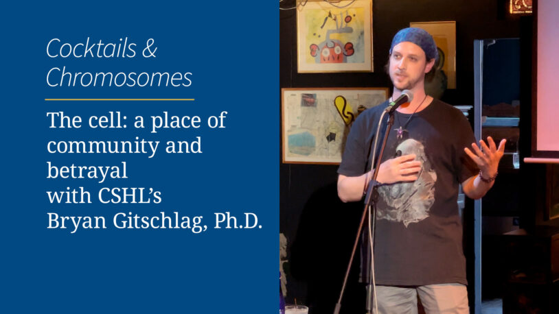 Image of Bryan Gitschlag's Cocktails and Chromosomes video