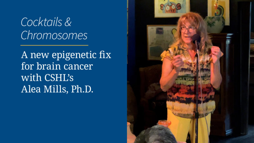 Image of Cocktails & Chromosomes: A new epigenetic fix for brain cancer with CSHL’s Alea Mills, Ph.D.