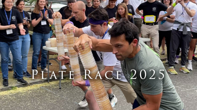 Image of the 2025 Plate Race