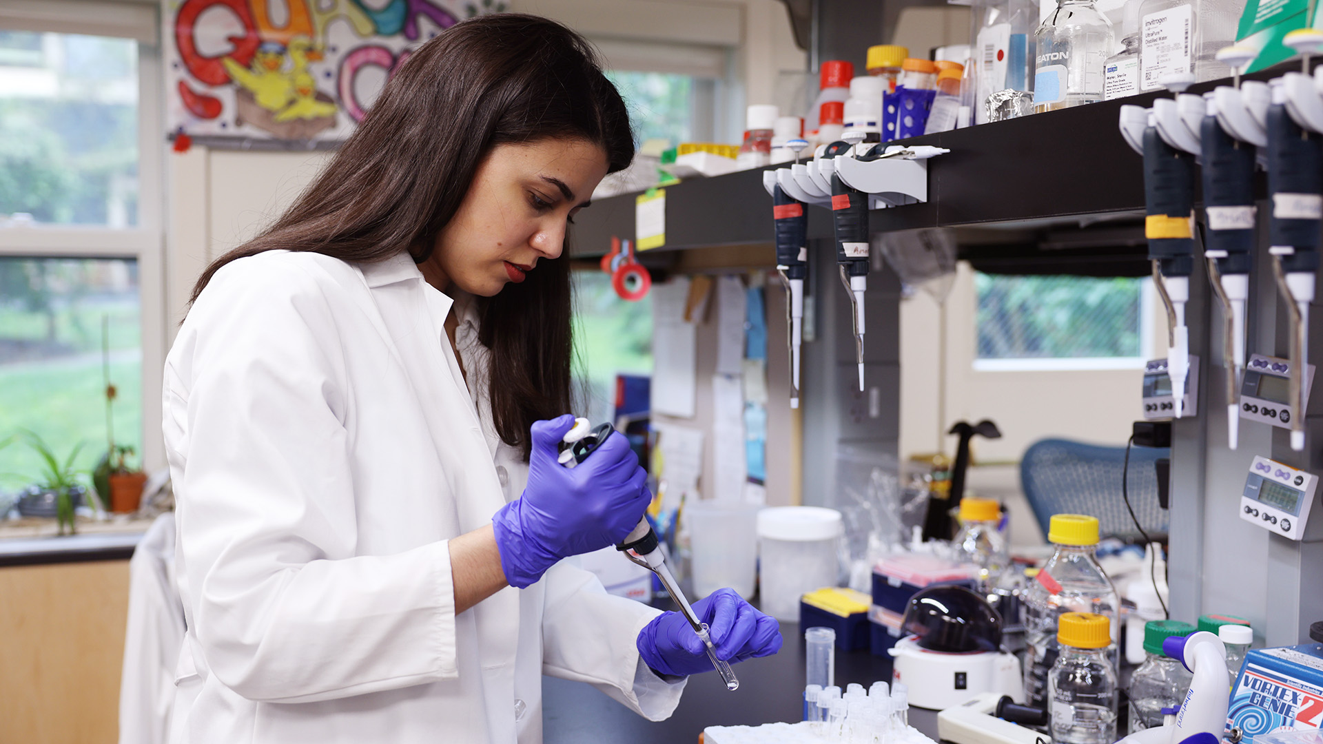 Amor Vegas in a white lab coat and purple gloves uses a pipette in a laboratory.