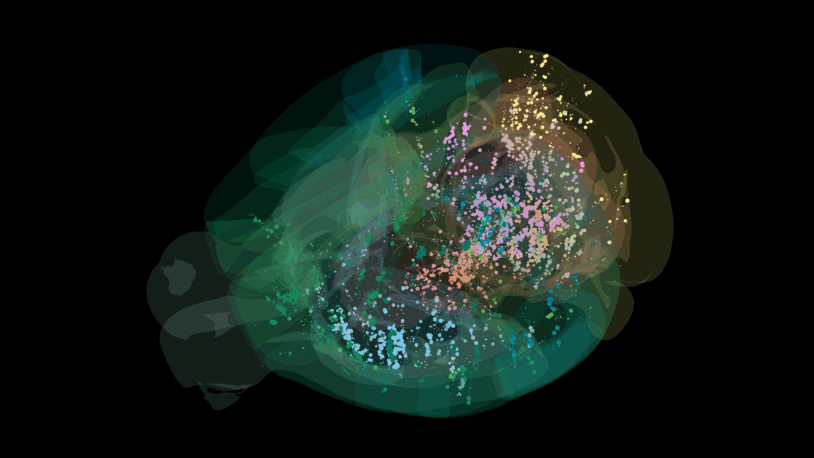 Colorful clusters of dots and translucent shapes form an abstract visualization on a black background.