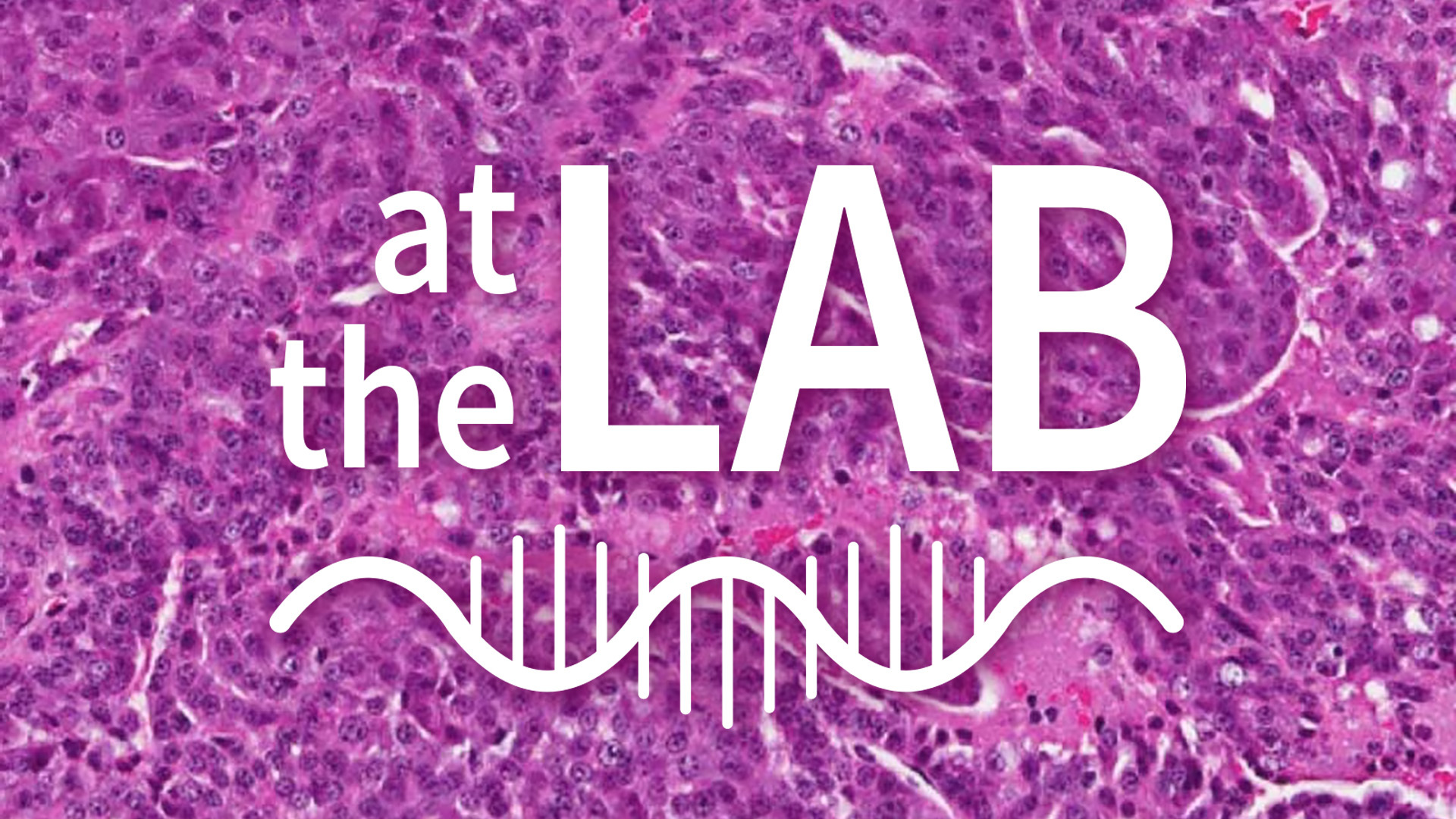 Image of At the Lab with David Spector