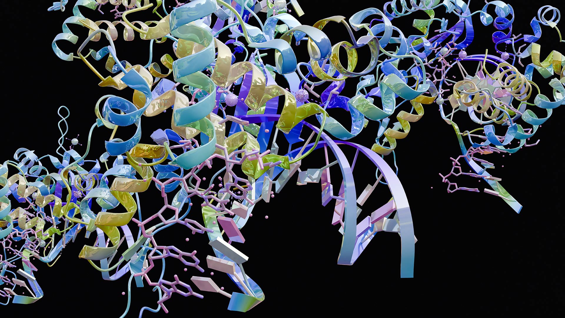 Image of a p53 tumor antigen