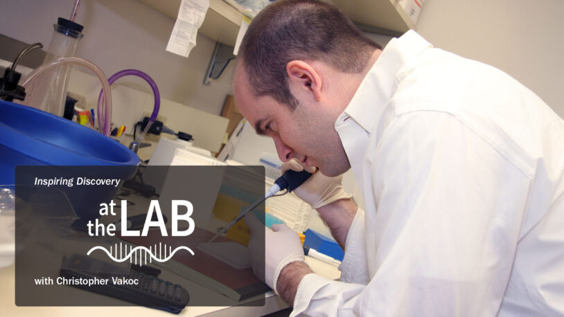 Image of Chris Vakoc in the laboratory for At the Lab