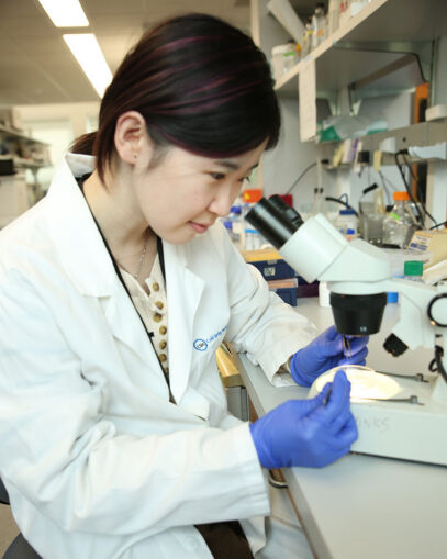 Yuxin Cen in a lab coat and gloves examines a sample under a microscope in a laboratory.